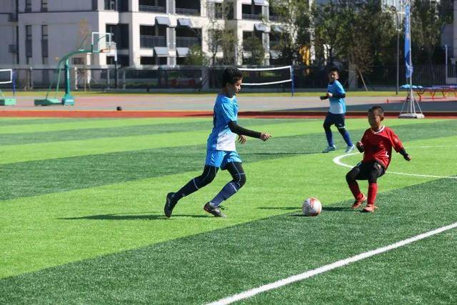 挪威主帅再谈飞猫悬案：球就是碰到了，若FIFA大方承认将更显格局